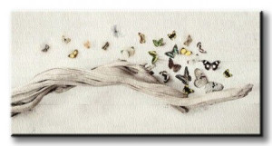 Motyle Drift of Butterflies - Obraz na płótnie 100x50 cm