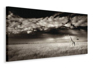 Masai Mara Giraffe - Obraz na płótnie 100x50 cm
