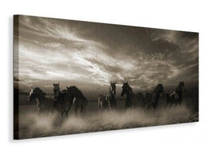Konie Wild Stampede - Obraz na płótnie 100x50 cm