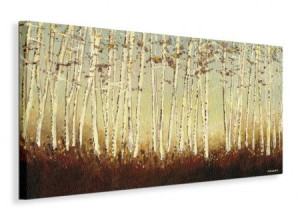 Silver Birch Trees - Obraz na płótnie 100x50 cm