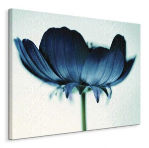 Japanese Anemone - Obraz na płótnie 80x60 cm