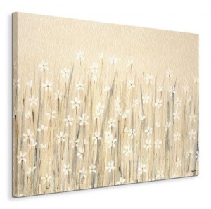 Field Of Starry White Flowers - Obraz na płótnie 80x60 cm