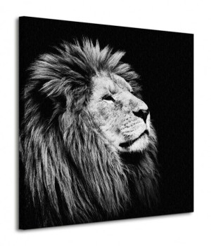 Majesty - Obraz na płótnie 85x85 cm