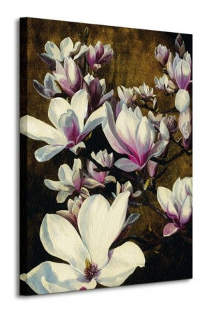 Magnolia Silk - Obraz na płótnie 60x80 cm