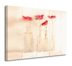 Anemonies in a bottle - Obraz na płótnie 80x60 cm