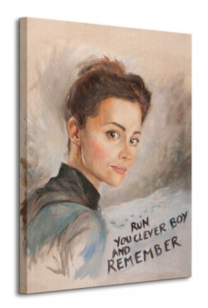 Doctor Who (Clara Painting) - Obraz na płótnie 60x80 cm
