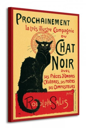 Chat Noir - Obraz na płótnie 60x80 cm