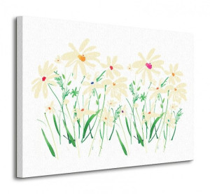 Marguerite Daisy - Obraz na płótnie 80x60 cm