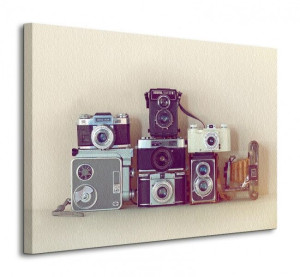 Camera Collection - Obraz na płótnie 80x60 cm