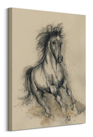 Missy In Motion - Obraz na płótnie 60x80 cm