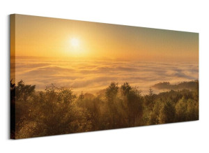 Mist Over The River Exe, Devon, England - Obraz na płótnie 100x50 cm