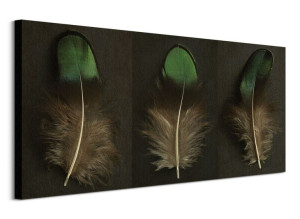 Green Peacock Feather Triptych - obraz na płótnie 100x50 cm