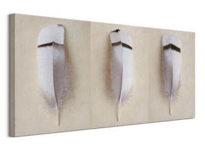 Egyptian Goose Feather Triptych - obraz na płótnie 100x50 cm
