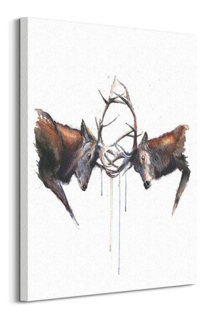 Headstrong - Obraz na płótnie 60x80 cm