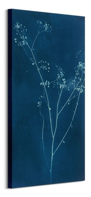 Grasses II - obraz na płótnie 50x100 cm