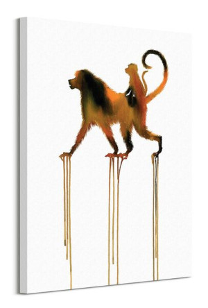 Baboons - obraz na płótnie 60x80 cm