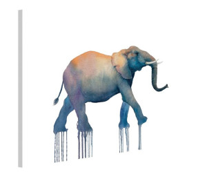 Elephant Walk - obraz na płótnie 80x60 cm