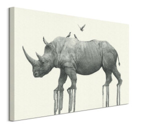 Majestic Rhinoceros - obraz na płótnie 80x60 cm