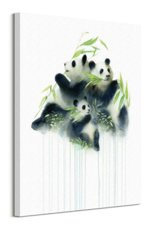 Pandas Bamboo - obraz na płótnie 60x80 cm