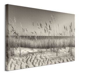 Dune Grass - obraz na płótnie 80x60 cm