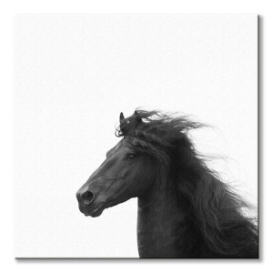 Majesty II - obraz na płótnie 85x85 cm