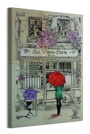 Au Vieux Paris - obraz na płótnie 60x80 cm