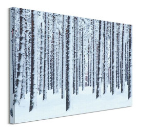 Frosted Trees - obraz na płótnie 80x60 cm