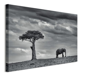Land of Giants - obraz na płótnie 80x60 cm