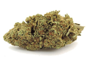 Banana OG 2g / 4% CBD