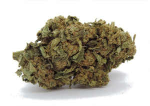 Mango Cheese 5g / 7% CBD