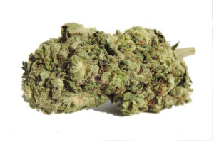White Widow 5g / 5% CBG