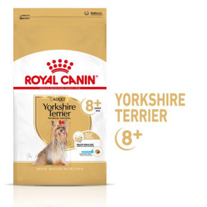 ROYAL CANIN Yorkshire Terrier Adult 8+ Karma Sucha Dla Dojrzałych Psów Rasy