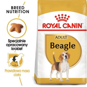 ROYAL CANIN Beagle Adult Karma Sucha Dla Psów Dorosłych Rasy Beagle 12 kg
