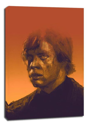 Mark Hamill - obraz na płótnie 50x70 cm