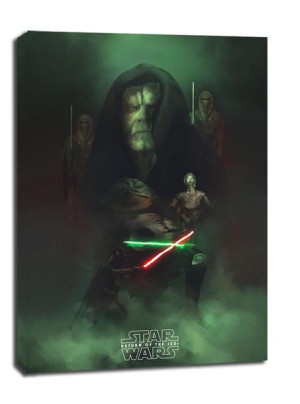 Gwiezdne Wojny, powrót Jedi - obraz na płótnie 40x50 cm