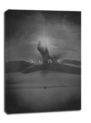 Dune - obraz na płótnie 40x60 cm