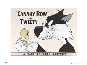Tweety Canary Row - plakat premium 50x40 cm
