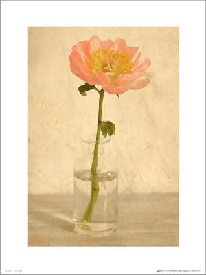 Pink Flower Bottle - plakat premium 40x50 cm