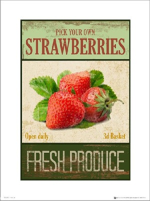Strawberries Pick Your Own - plakat premium 40x50 cm