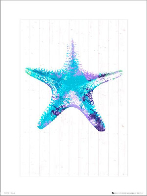 Seaside Starfish Blue - plakat premium 40x50 cm