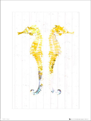Seaside Seahorse Yellow - plakat premium 40x50 cm