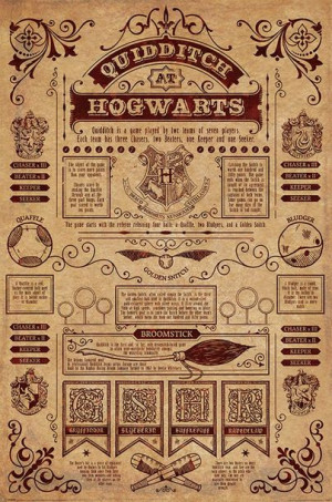 Harry Potter Quidditch At Hogwarts - plakat 61x91,5 cm