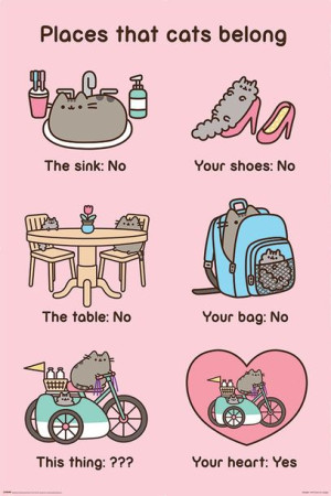 Pusheen Places Cats Belong - plakat 61x91,5 cm