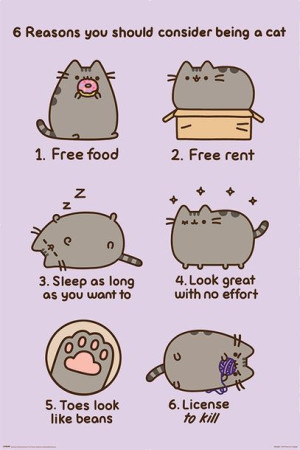 Pusheen Reasons to be a Cat - plakat 61x91,5 cm
