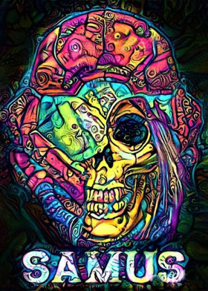 PsychoSkulls, Samus, Metroid - plakat 30x40 cm