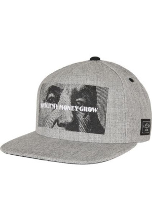 Czapka Snapback WL Watch It Grow Grey