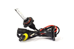 01414 HID Żarnik H8 H9 H11 4300K  xenonowy