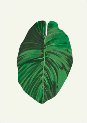 Liść VI - plakat 21x29,7 cm