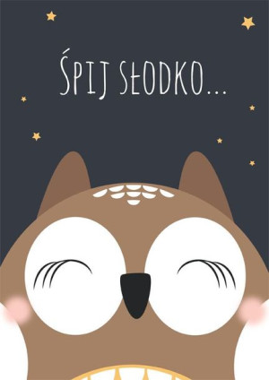 Śpiąca sowa na ciemnym tle - plakat 42x59,4 cm