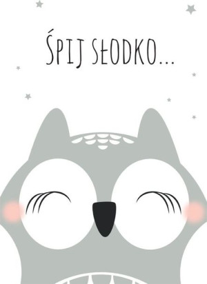 Śpiąca sowa na białym tle - plakat 20x30 cm